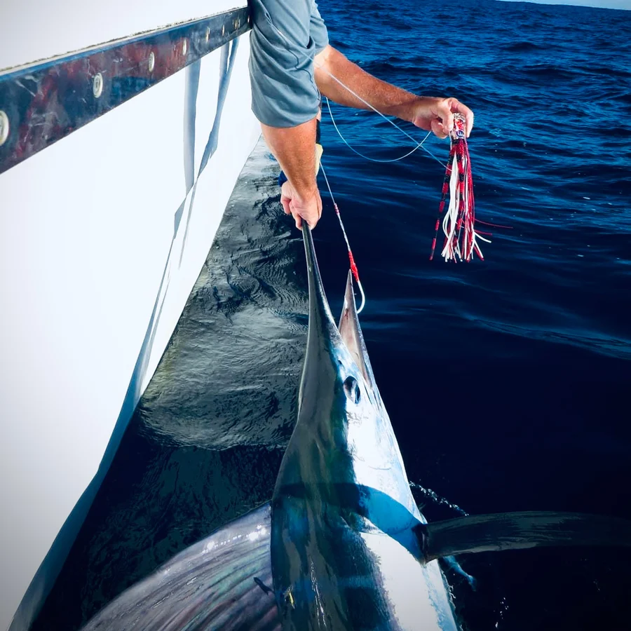 Chainsmoker Medium 9" Trolling Lure - Image 2